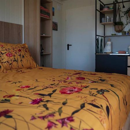 Bloem & Bed Panzió 't Zand Kültér fotó