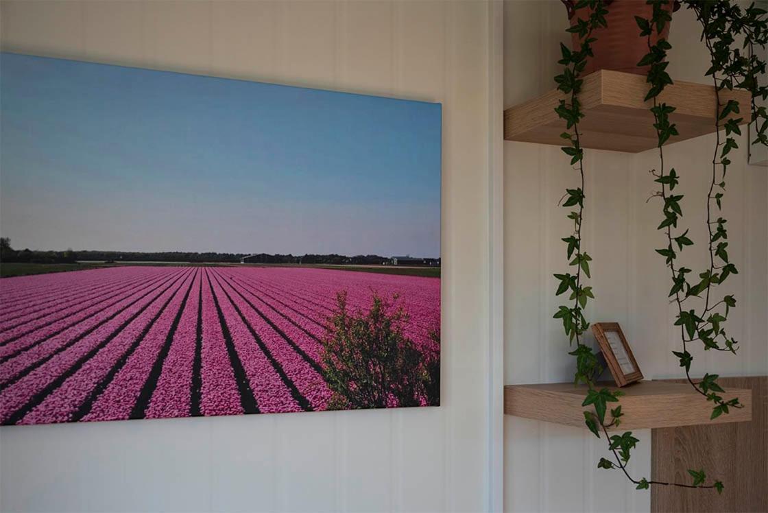 Bloem & Bed Panzió 't Zand Kültér fotó